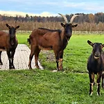 Beim Obsthof * Meckenbeuren