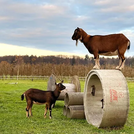 Beim Obsthof Appartement *