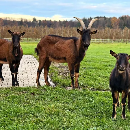 Beim Obsthof * Meckenbeuren