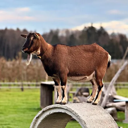 Appartement Beim Obsthof