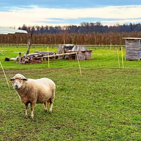 Appartement Beim Obsthof *